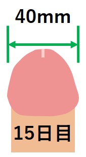 キトー君使用15日目