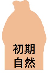 キトー君使用前自然状態